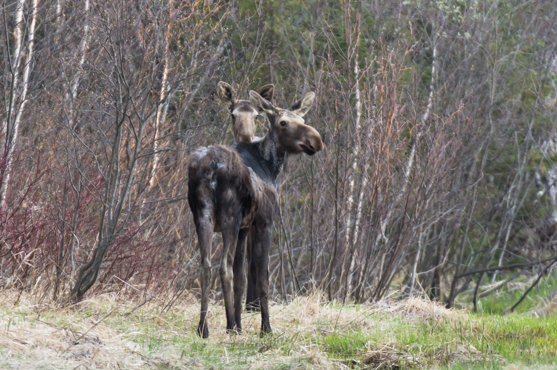 39168957051_20dbe54214_o