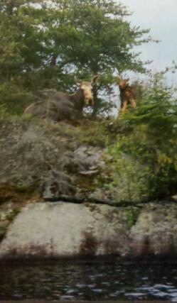 IMG_20101017_155158-1