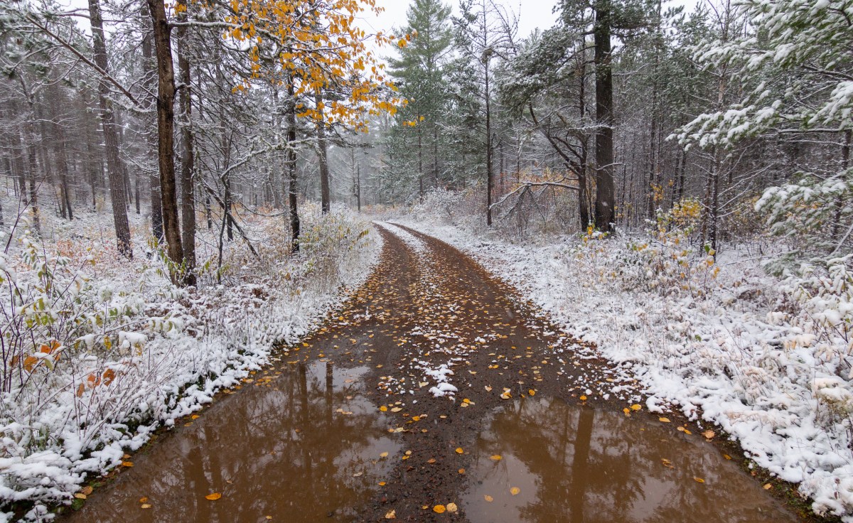 Two 2020 Calendars and a Lot of Fall&nbsp;Photos